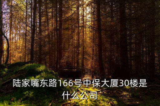 陸家嘴東路166號中保大廈30樓是什么公司