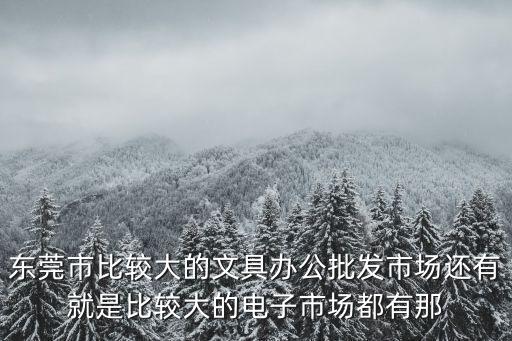 東莞市南城領一文具店的法人是誰，東莞南城區(qū)水濂
