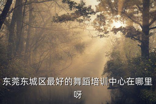 東莞東城區(qū)最好的舞蹈培訓中心在哪里呀
