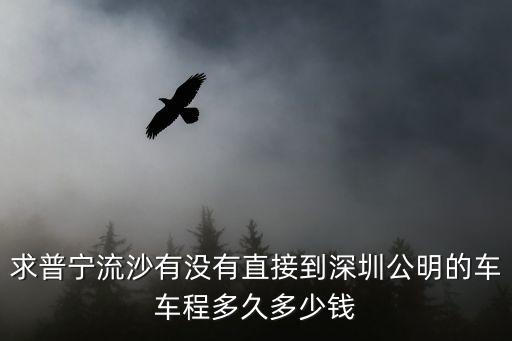 從普寧到深圳的順風車，求普寧流沙有沒有直接到深圳公明的車車程多久多少錢