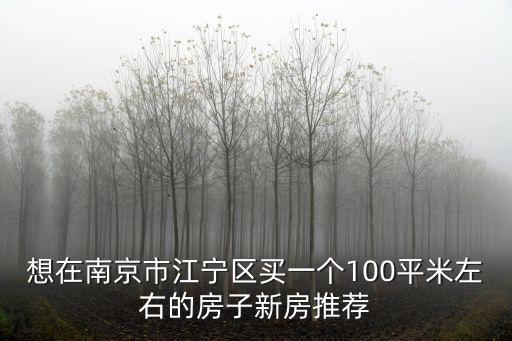 想在南京市江寧區買一個100平米左右的房子新房推薦