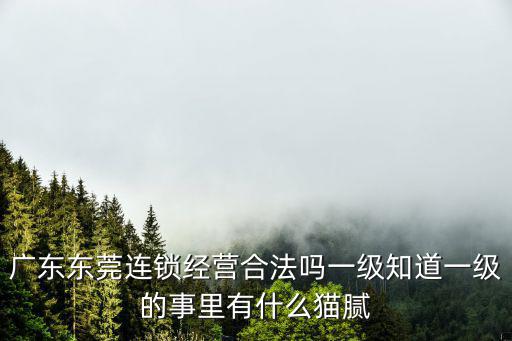東莞廣董事長，廣東東莞連鎖經營合法嗎一級知道一級的事里有什么貓膩