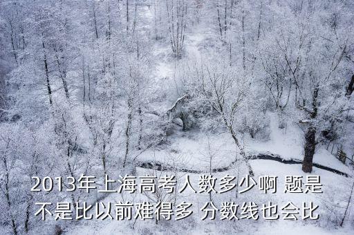 2013年上海高考人數多少啊 題是不是比以前難得多 分數線也會比