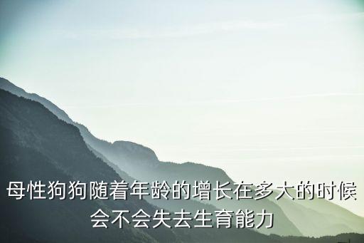 母性狗狗隨著年齡的增長在多大的時候會不會失去生育能力