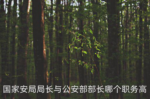 上海市國家安全局局長級別，國家安全局局長是什么職位