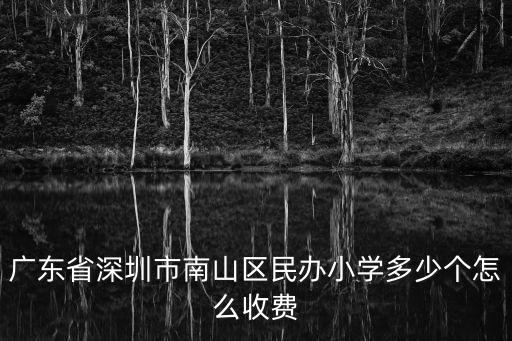 廣東省深圳市南山區民辦小學多少個怎么收費