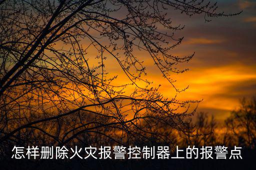 怎樣刪除火災報警控制器上的報警點