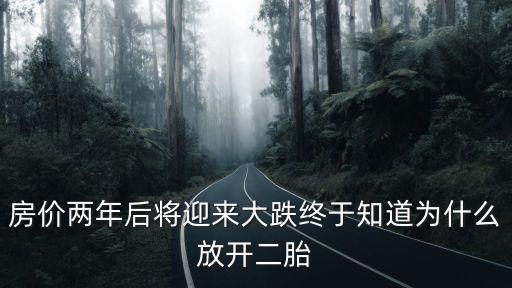 房?jī)r(jià)兩年后將迎來大跌終于知道為什么放開二胎