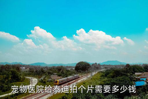 泰迪前腿拍片加接上多少錢，剛才我家泰迪10個月了前腳骨折了我住閘北芷江中路請問看一