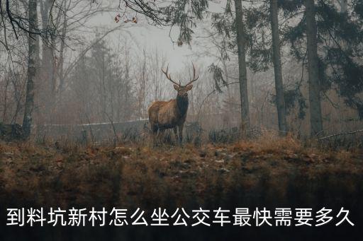 到料坑新村怎么坐公交車最快需要多久