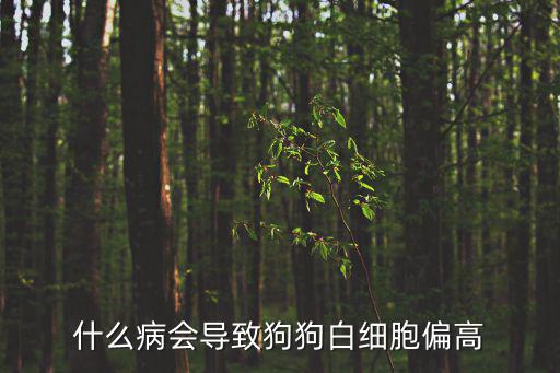 什么病會導(dǎo)致狗狗白細(xì)胞偏高