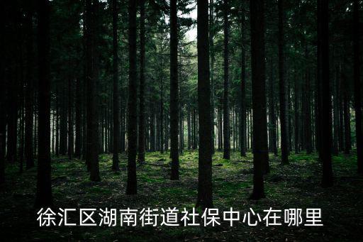徐匯區(qū)湖南街道社保中心在哪里