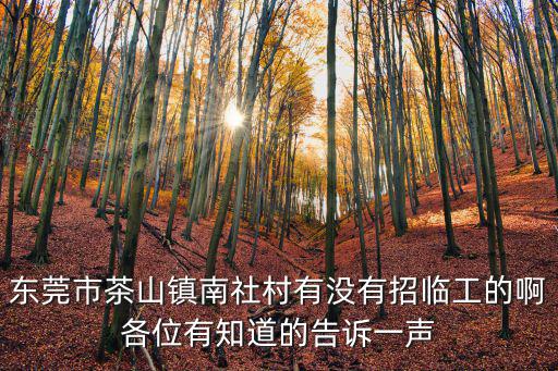 東莞茶山南社工廠招聘，東莞茶山哪里有招臨時工