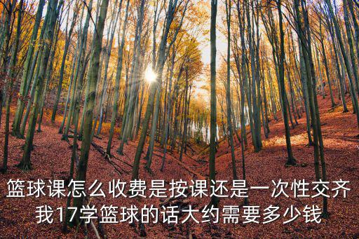 籃球課怎么收費(fèi)是按課還是一次性交齊我17學(xué)籃球的話(huà)大約需要多少錢(qián)
