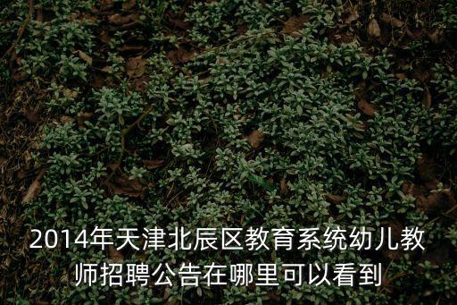 2014年天津北辰區教育系統幼兒教師招聘公告在哪里可以看到