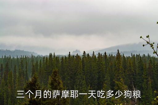 薩摩耶3個月吃多少，薩摩耶三個月大一次喂多少狗糧