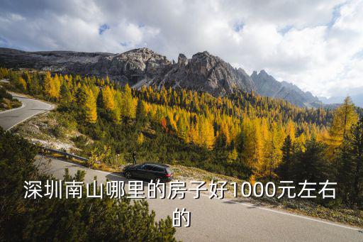 深圳南山哪里的房子好1000元左右的