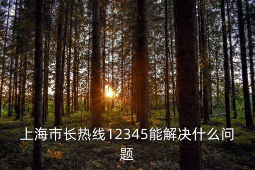 上海市長熱線12345能解決什么問題