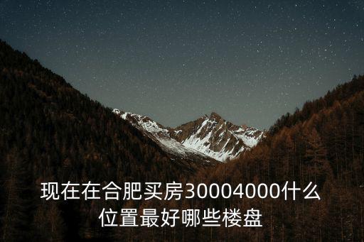 現在在合肥買房30004000什么位置最好哪些樓盤