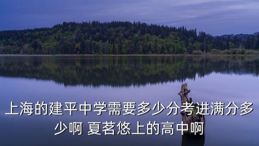 上海的建平中學(xué)需要多少分考進滿分多少啊 夏茗悠上的高中啊