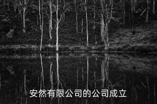 安然有限公司的公司成立