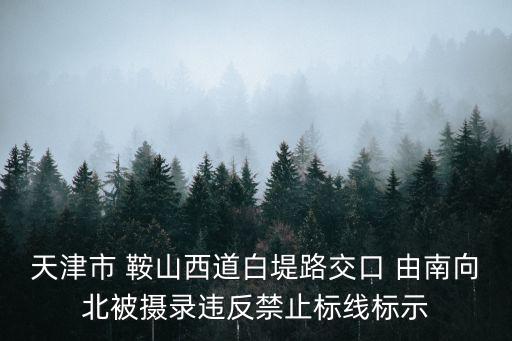 天津市 鞍山西道白堤路交口 由南向北被攝錄違反禁止標(biāo)線(xiàn)標(biāo)示