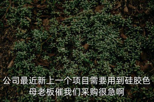 東莞市華飛新材料科技有限公司，公司最近新上一個項目需要用到硅膠色母老板催我們采購很急啊