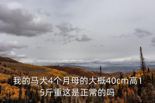 我的馬犬4個(gè)月母的大概40cm高15斤重這是正常的嗎