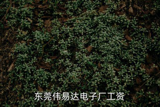 東莞偉易達電子廠工資