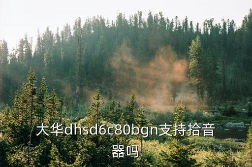 大華dhsd6c80bgn支持拾音器嗎