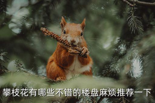 攀枝花房價哪個樓盤好賣，攀枝花有哪些不錯的樓盤麻煩推薦一下