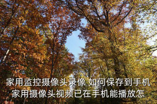 監控器的錄像怎么保存，監控室里的監控錄像一般如何保存