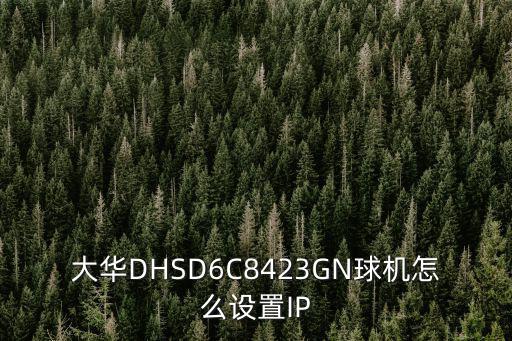 球機(jī)ip怎么設(shè)置方法，大華DHSD6C8423GN球機(jī)怎么設(shè)置IP