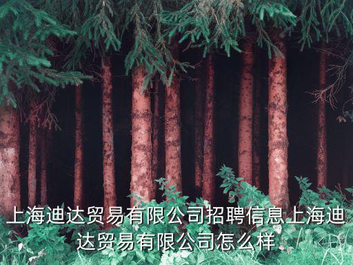 上海市迪貿投資管理有限公司地址，協迪貿易上海有限公司怎么樣