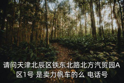 請問天津北辰區鐵東北路北方汽貿園A區1號 是賣力帆車的么 電話號