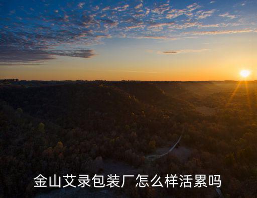 金山艾錄包裝廠怎么樣活累嗎