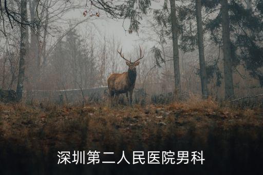 深圳第二人民醫院男科
