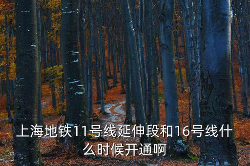 上海地鐵11號(hào)線延伸段和16號(hào)線什么時(shí)候開通啊