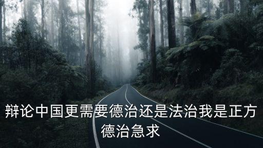上海市法治杯辯論賽，辯論中國更需要德治還是法治我是正方德治急求