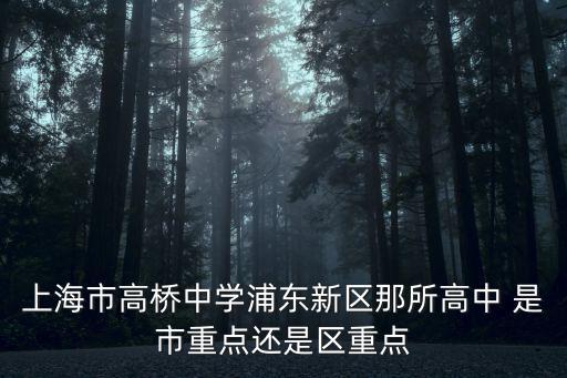 上海市高橋中學浦東新區那所高中 是市重點還是區重點