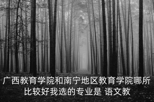 廣西教育學院和南寧地區教育學院哪所比較好我選的專業是 語文教