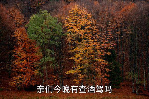 親們今晚有查酒駕嗎