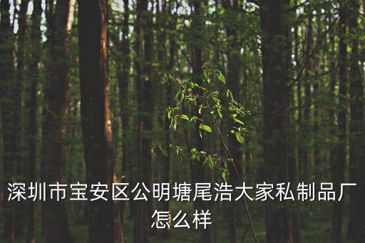 深圳市寶安區公明塘尾浩大家私制品廠怎么樣