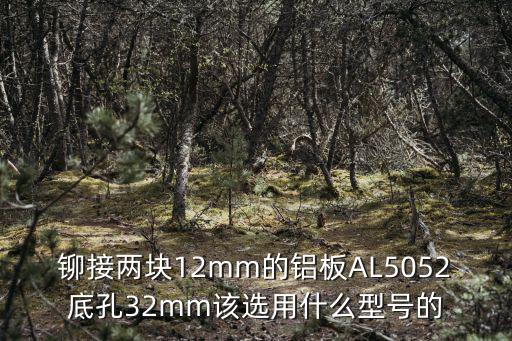 鉚接兩塊12mm的鋁板AL5052底孔32mm該選用什么型號的
