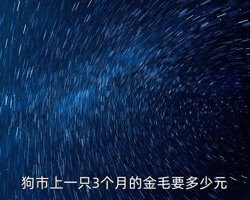 3個月金毛價格多少錢，金毛狗市場價是多少啊