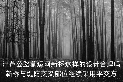 津蘆公路薊運(yùn)河新橋這樣的設(shè)計(jì)合理嗎新橋與堤防交叉部位繼續(xù)采用平交方