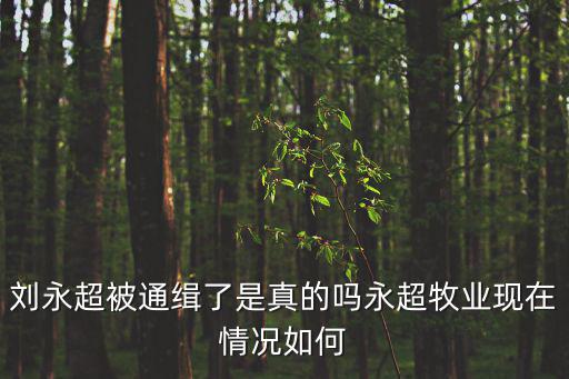 劉永超被通緝了是真的嗎永超牧業現在情況如何