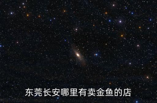 東莞長安哪有觀賞魚賣，在東莞虎門或者是東莞長安 那里有觀賞魚批發 或者是零售的都可以