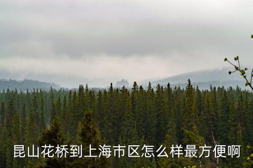 花橋到上海市政府距離，昆山花橋和上海松江哪個離上海市中心近