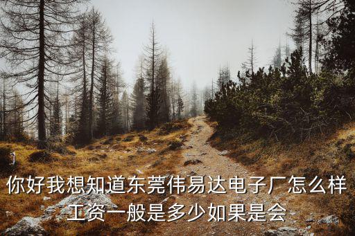 你好我想知道東莞偉易達電子廠怎么樣工資一般是多少如果是會